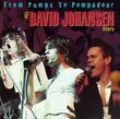From Pumps to Pompadours: David Johansen Story