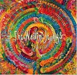 40 Days by Wailin' Jennys (2004) Audio CD