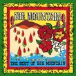 The Best of Big Mountain