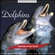 Sounds of Earth: Dolphins
