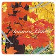 Autumn Leaves