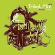 Tribal Mix/Vol 4 Mixed By Phili