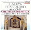 Baroque - Famous European Organs: Lahm-Itzgrund (Herbst Organ) - Christian Brembeck