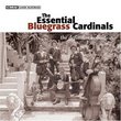 Essential Bluegrass Cardinals