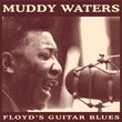 Floyd's Guitar Blues