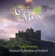 Celtic Moods