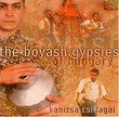 Boyha Gypsies of Hungary