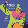 Amor ti vieta: Great Opera Arias