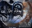The Ram to Wild Animus: The Ram