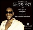 The Best of Marvin Gaye Live