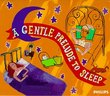 Set Your Life To Music: A Gentle Prelude To Sleep