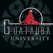 Guatauba University (Edited)