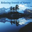 Relaxing Sounds of Nature