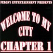 Welcome to My City Chapter 1