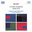 Bliss: A Colour Symphony; Adam Zero