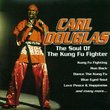 Soul of Kung-Fu Fighter
