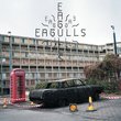 Eagulls