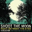 Shoot the Moon Right Between the Eyes: Jeffrey Fou