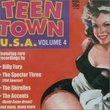 Vol. 4-Teen Town U.S.A. by Teen Town U.S.A. (0100-01-01)