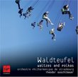 Waldteufel: Waltzes & Polkas - Theodor Guschlbauer