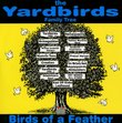 Yardbirds Family Tree-Birds Of A Feather