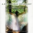 Pop Choir & the Forest