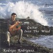 Guitar Into The Wind