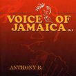 Voice of Jamaica 2