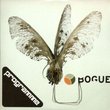 Bogue