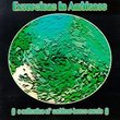 Excursions in Ambience 1
