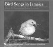 Bird Songs in Jamaica