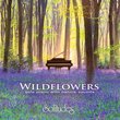 Wildflowers ~ solo piano with nature sounds