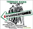 Teenage Kicks the Very Best of Undertones