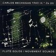 IK * Zs (3)/Flute Solos/Movement Sounds