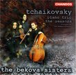Tchaikovsky: Piano Trio In A Minor, Op.50:/ The Seasons - Piano Suite Op. 37b (2 CD Set)