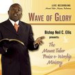 Wave of Glory