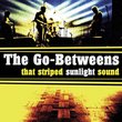 That Striped Sunlight Sound (DVD plus audio CD)
