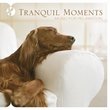 Tranquil Moments: Music for Relaxation