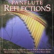 Panflute Reflections