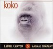 Koko, Fine Animal Gorilla