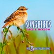 Songbirds:Field & Meadow