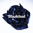 Blackbud