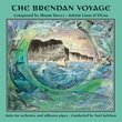 Brendan Voyage