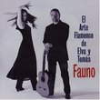 El Arte Flamenco De Elva