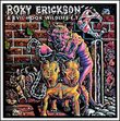 Roky Erickson & Evilhook Wildlife