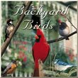 Backyard Birds