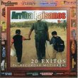 Vol. 2-Arriba Paisanos 20 Exitos Pa Recordar Mi Ti