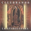 Celebrando la Guadalupana