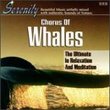 Chorus of Whales