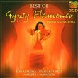 Best of Gypsy Flamenco Andalusia